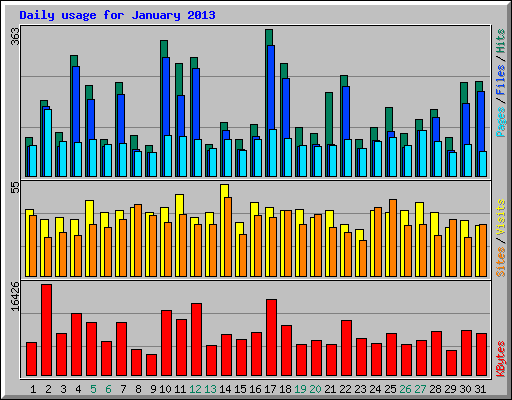Daily usage for January 2013