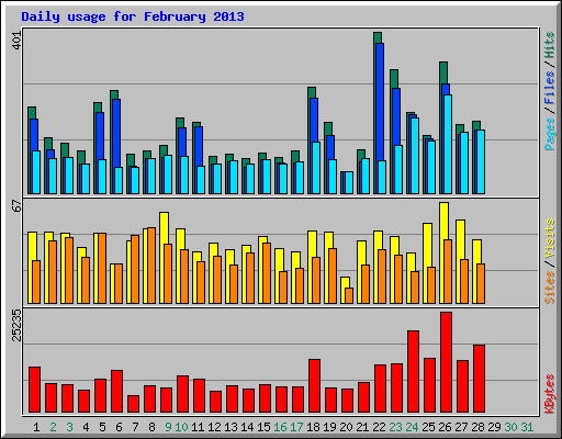 Daily usage for February 2013