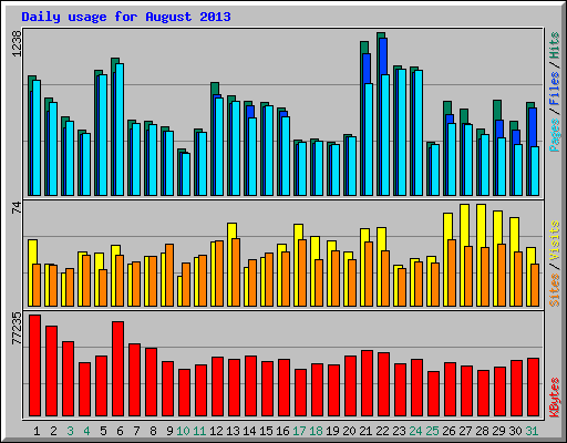 Daily usage for August 2013