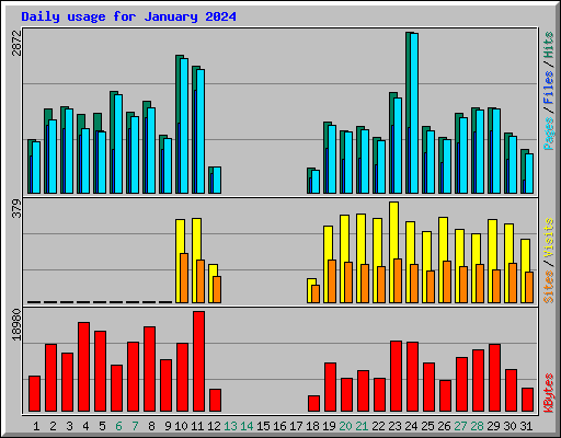 Daily usage for January 2024