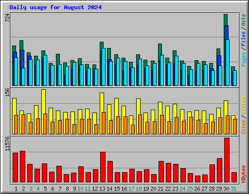Daily usage for August 2024