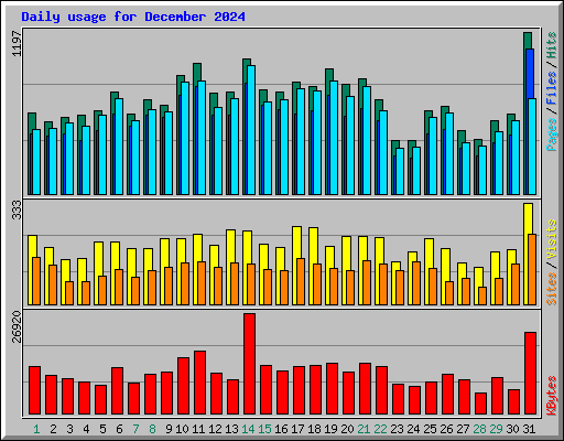 Daily usage for December 2024