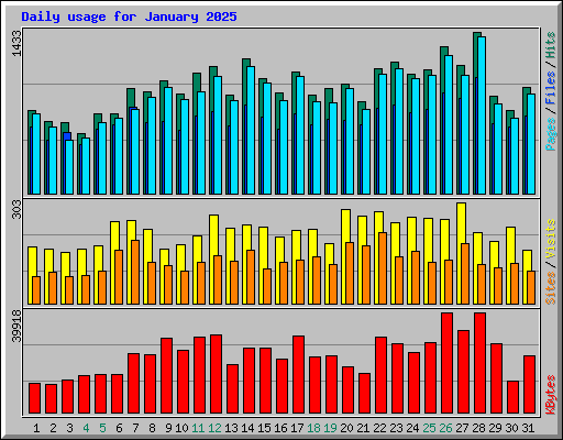 Daily usage for January 2025