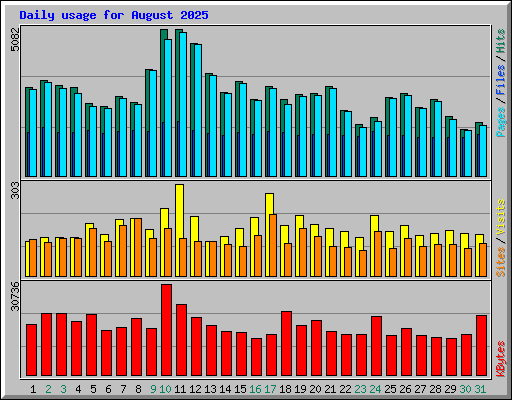 Daily usage for August 2025