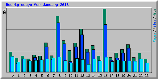Hourly usage for January 2013