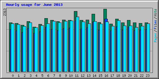 Hourly usage for June 2013