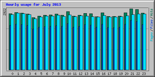 Hourly usage for July 2013