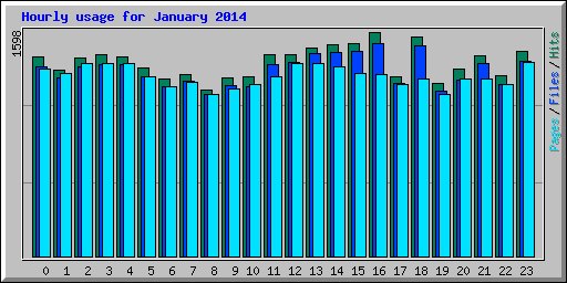 Hourly usage for January 2014