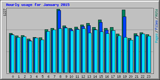 Hourly usage for January 2015