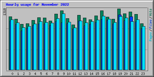 Hourly usage for November 2022