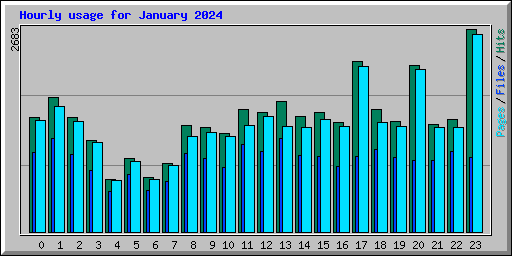 Hourly usage for January 2024