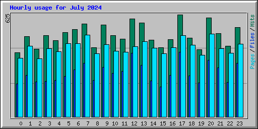 Hourly usage for July 2024