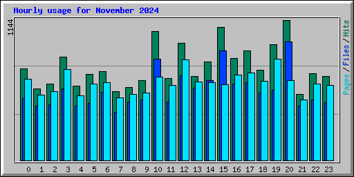 Hourly usage for November 2024