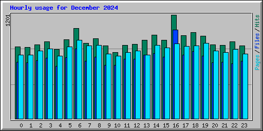 Hourly usage for December 2024