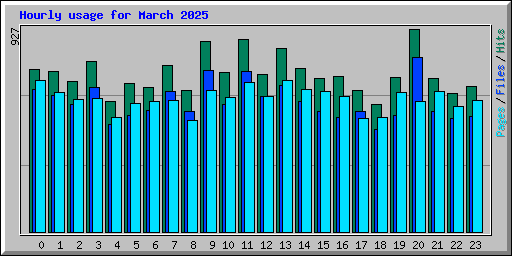 Hourly usage for March 2025