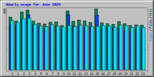 Hourly usage for June 2025