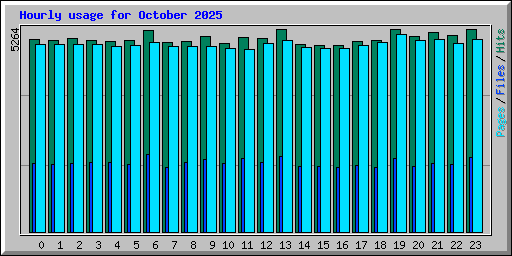 Hourly usage for October 2025