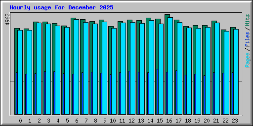 Hourly usage for December 2025