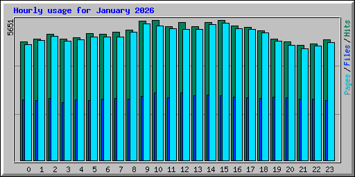 Hourly usage for January 2026